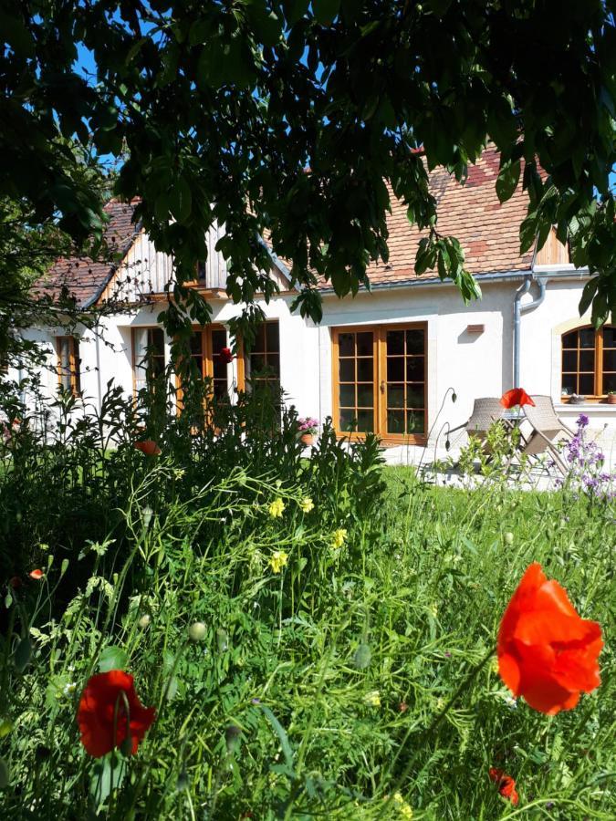 Villa Ferienhaus Zur Ausspanne Dresden Exterior foto