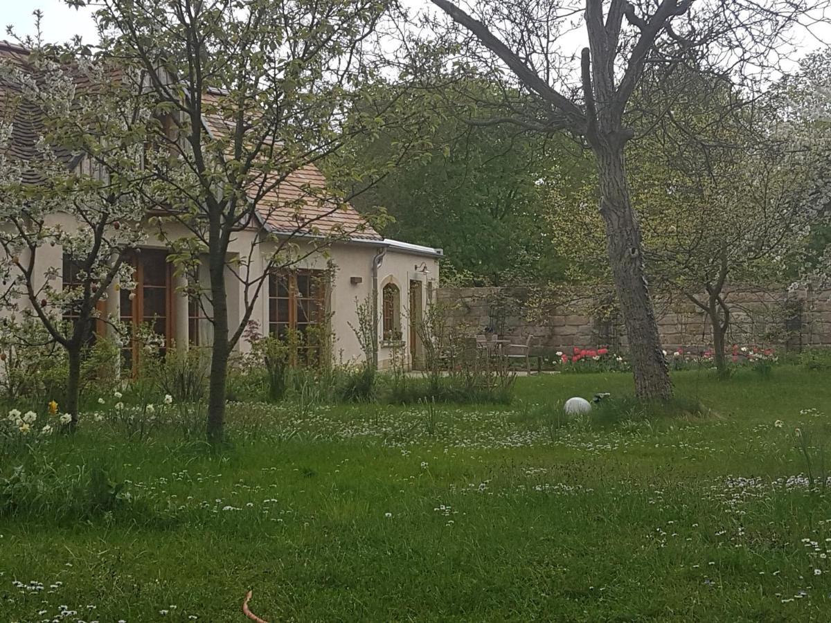 Villa Ferienhaus Zur Ausspanne Dresden Exterior foto